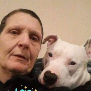 Meet your Posher, Shirley